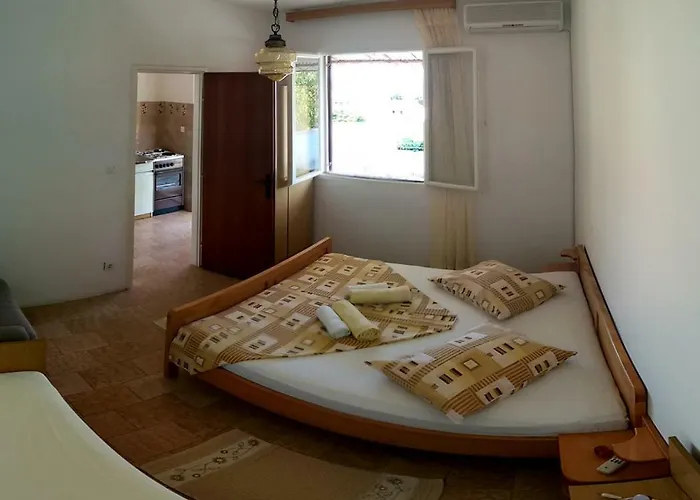 Sandro 이반 돌라츠