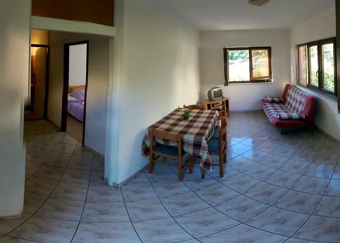 Sandro 이반 돌라츠